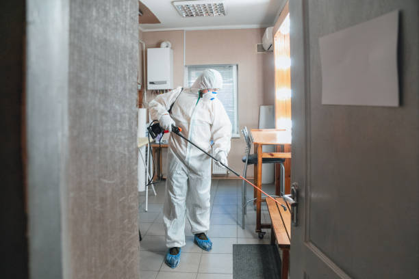 Reliable Conesus Lake, NY Mold Removal Solutions