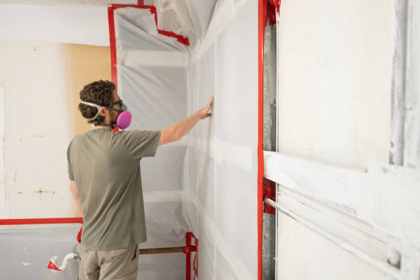 Best Comprehensive Air Testing for Mold Contaminants  in Conesus Lake, NY