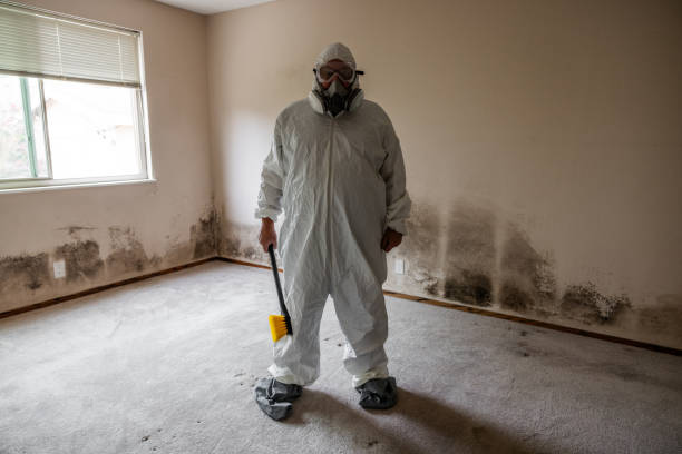 Best Mold Removal for HVAC Installations  in Conesus Lake, NY